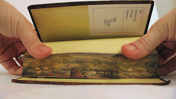 fore-edge paintings-2