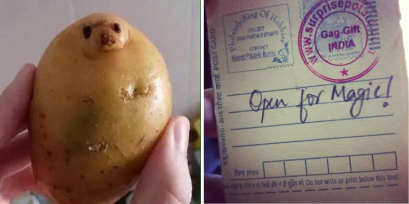 Surprise Potato-2