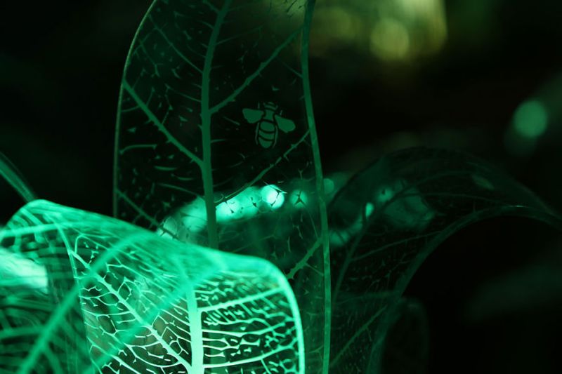 These glow-in-the-dark plants will abandon your love affair with night