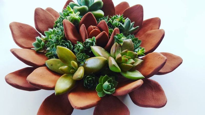 Handmade Ceramic Succulents by Owen Mann-3