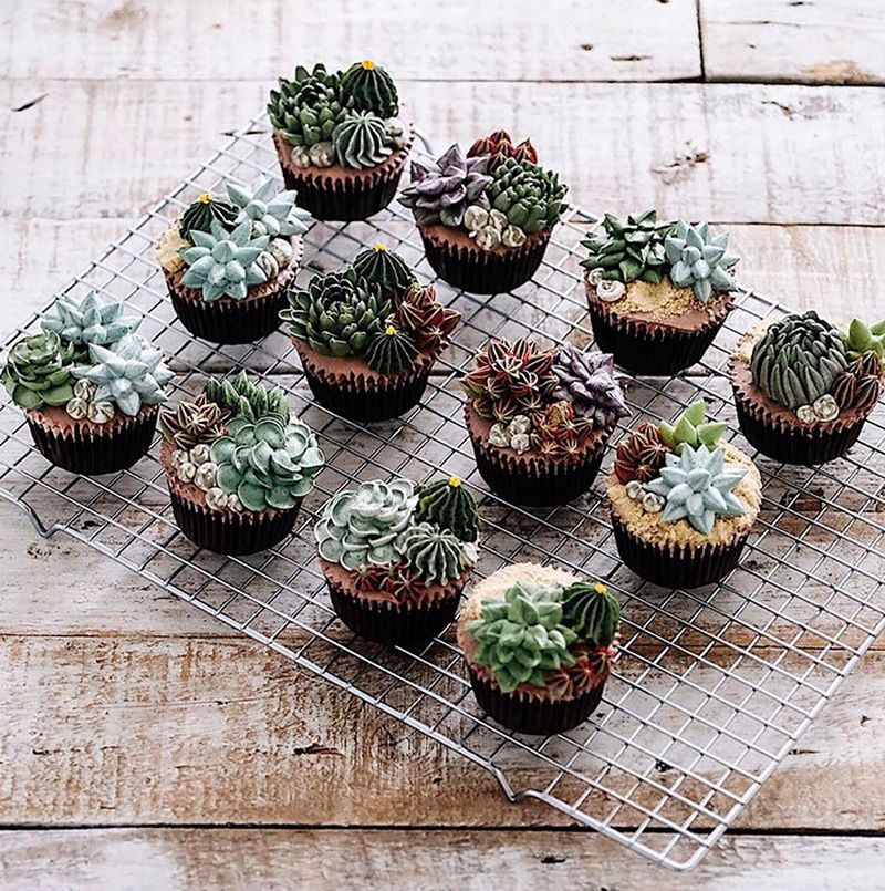 succulent-terrarium-cakes-cupcakes-ivenoven-10