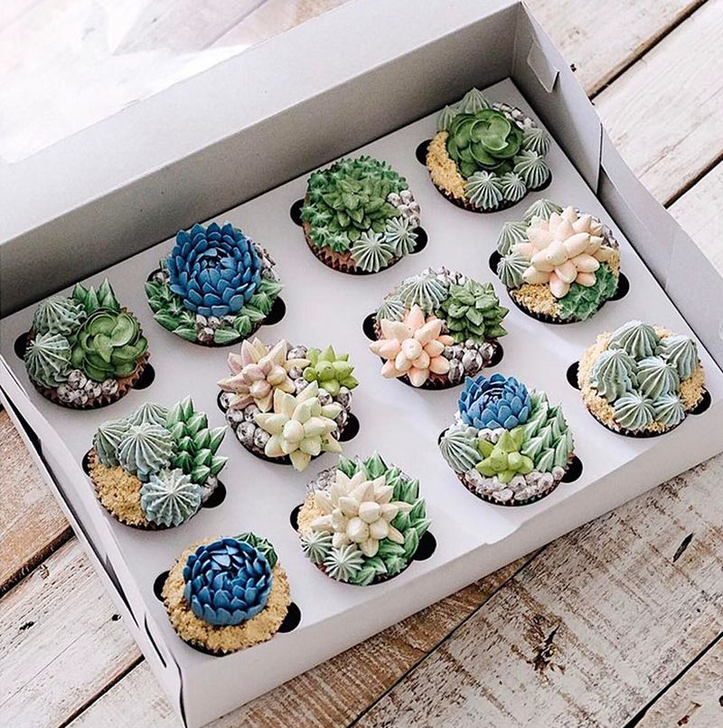 succulent-terrarium-cakes-cupcakes-ivenoven-3