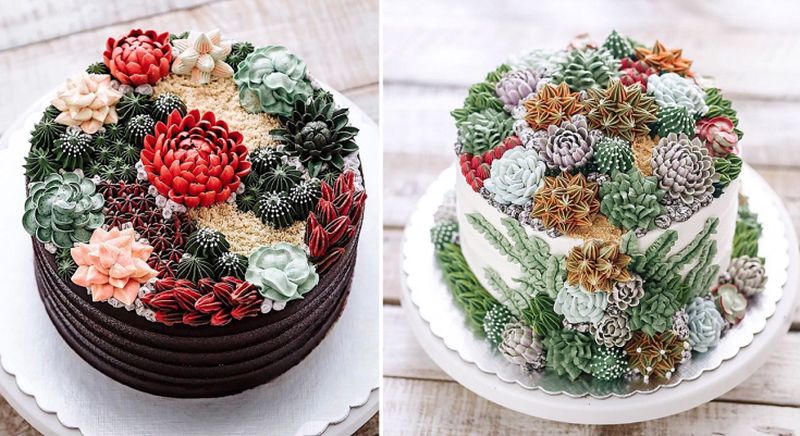 succulent-terrarium-cakes-cupcakes-ivenoven-4