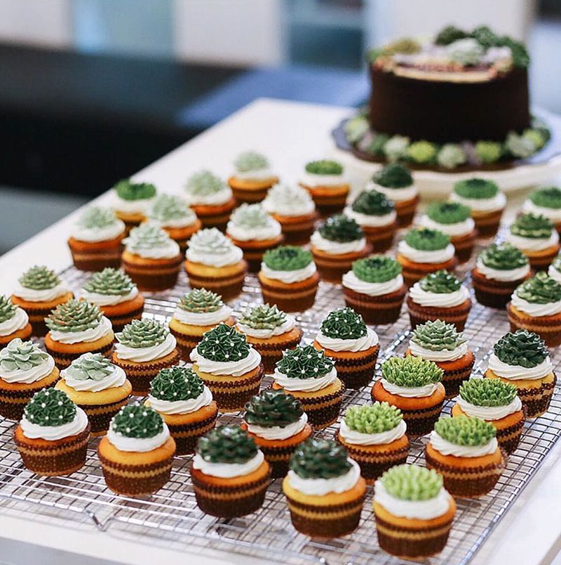 succulent-terrarium-cakes-cupcakes-ivenoven-5