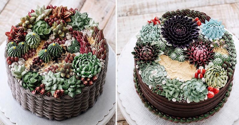 succulent-terrarium-cakes-cupcakes-ivenoven-8
