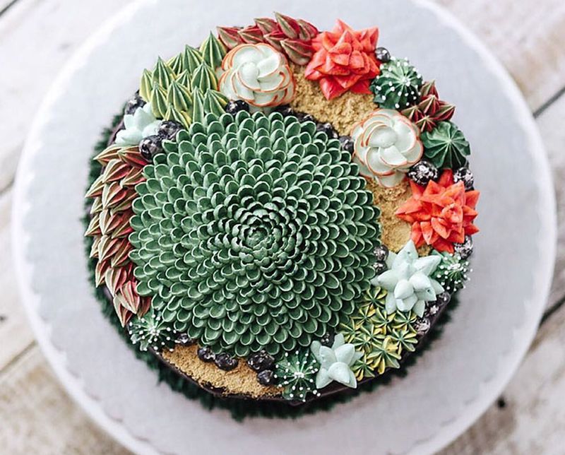succulent-terrarium-cakes-cupcakes-ivenoven-9
