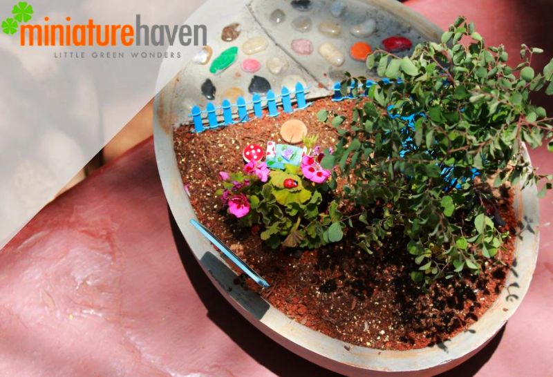 Miniature Haven helps you bring lush landscapes into your home