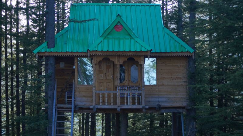 Treehouse in Fagu, Shimla-10