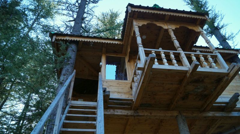 Treehouse in Fagu, Shimla-2