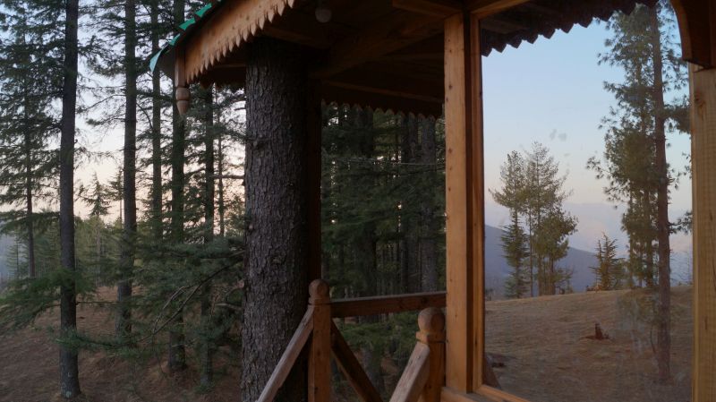 Treehouse in Fagu, Shimla-7