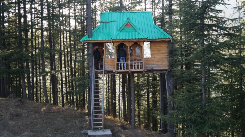 Treehouse in Fagu, Shimla-8