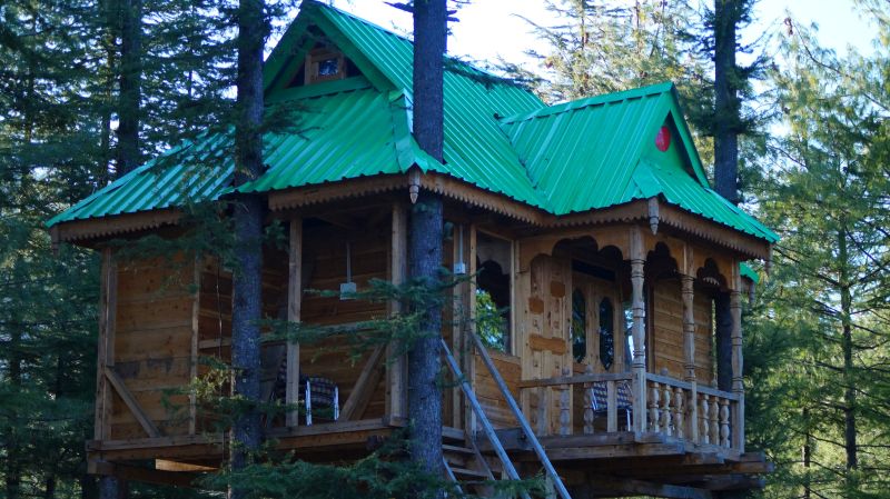 Treehouse in Fagu, Shimla-9