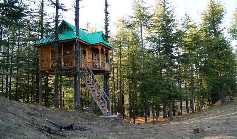 Treehouse in Fagu, Shimla