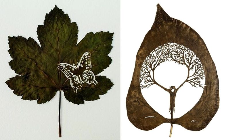 Leaf Art: Artist creates intriguing artwork on fallen leaves