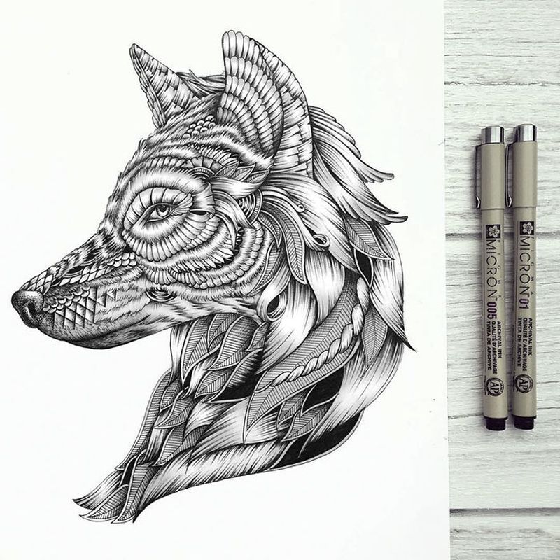intricate-animal-drawings-faye-halliday
