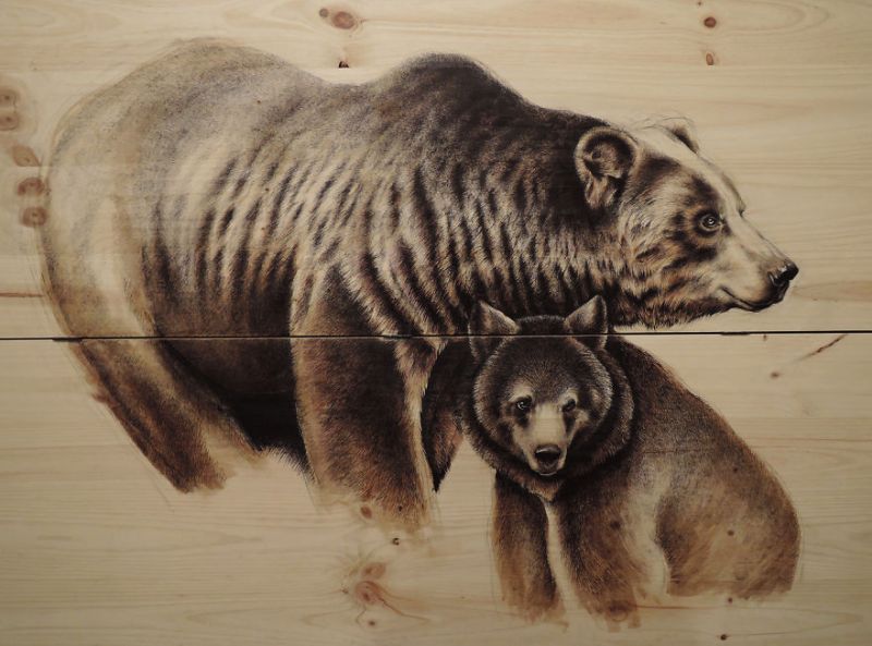 nature-inspired drawings on recycled wood by Martina Billi