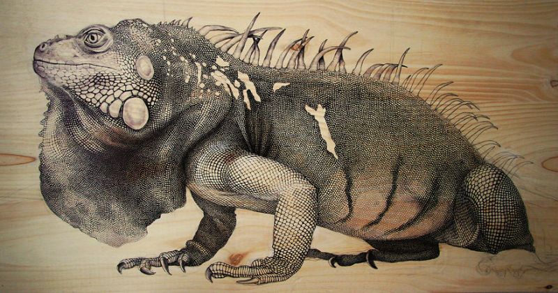 nature-inspired drawings on recycled wood by Martina Billi