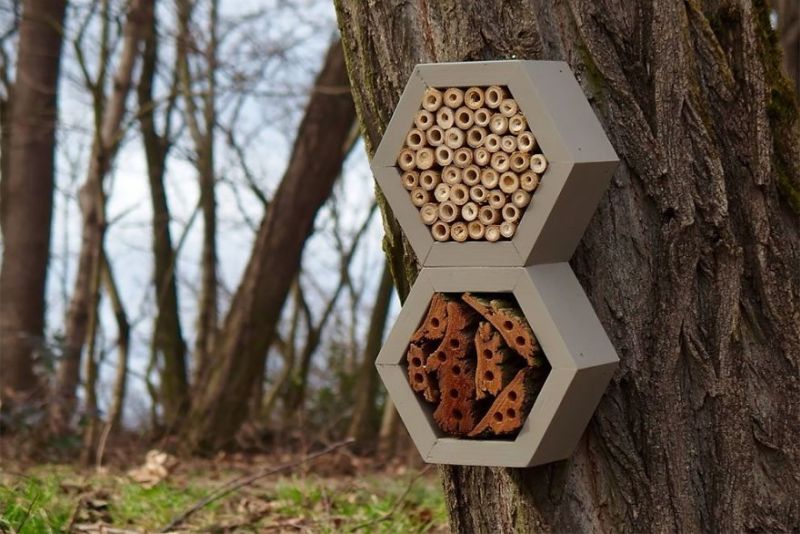 Boleslav Daska creates bee hotels