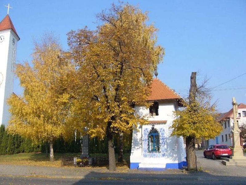 90-year-old Czech Republic grandmother paints every house of her small village