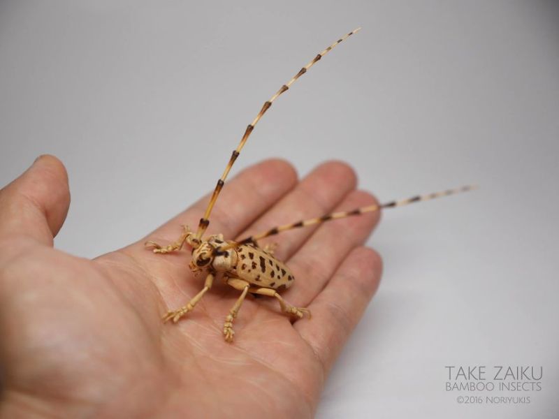 Bamboo Insects: Artist creates incredibly life-like insects out of bamboo