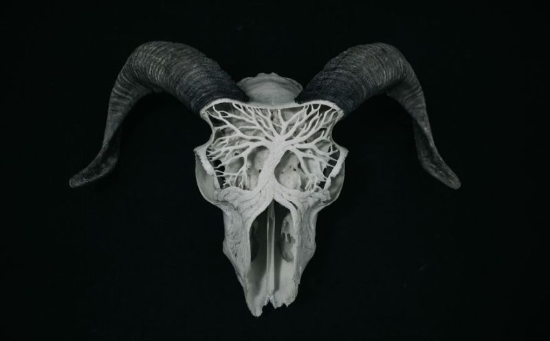Victor Skull Art