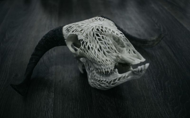 Victor Skull Art