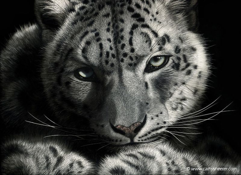 Hyper-realistic scratchboard Art by cathy sheeter