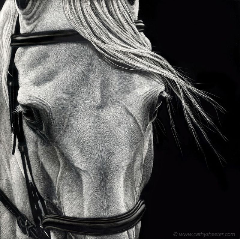 Hyper-realistic scratchboard Art by cathy sheeter