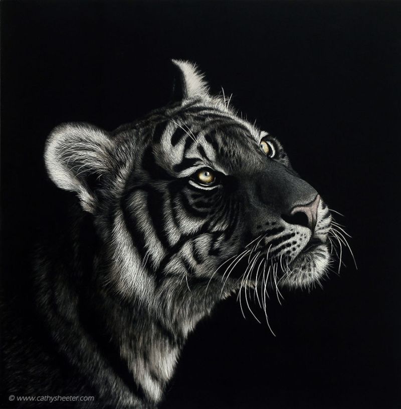 Hyper-realistic scratchboard Art by cathy sheeter