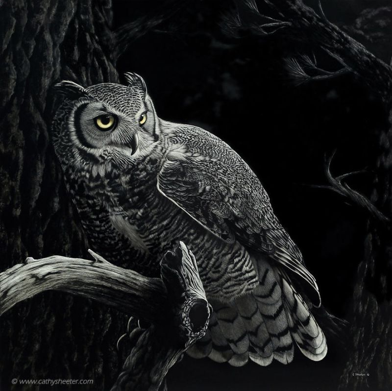 Hyper-realistic scratchboard Art by cathy sheeter