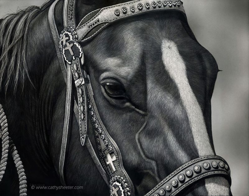 Hyper-realistic scratchboard Art by cathy sheeter