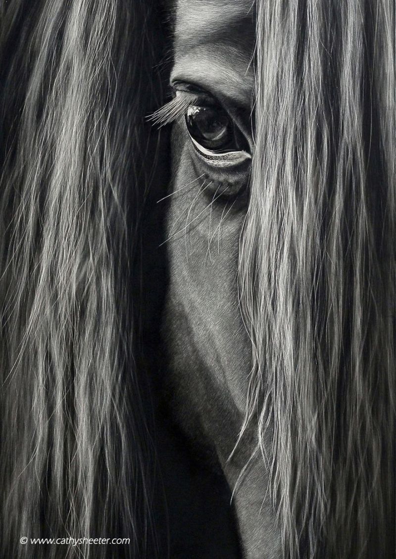 Hyper-realistic scratchboard Art by cathy sheeter