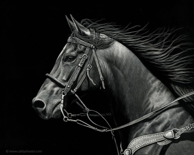 Hyper-realistic scratchboard Art by cathy sheeter