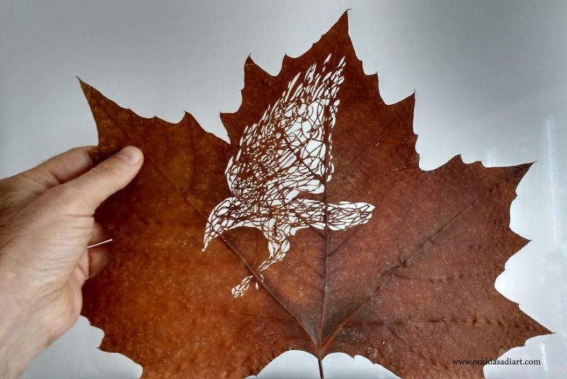 Leaf art by Omid Asadi