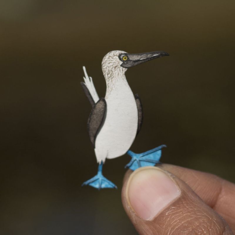 Miniature Paper Birds by NVIllustration