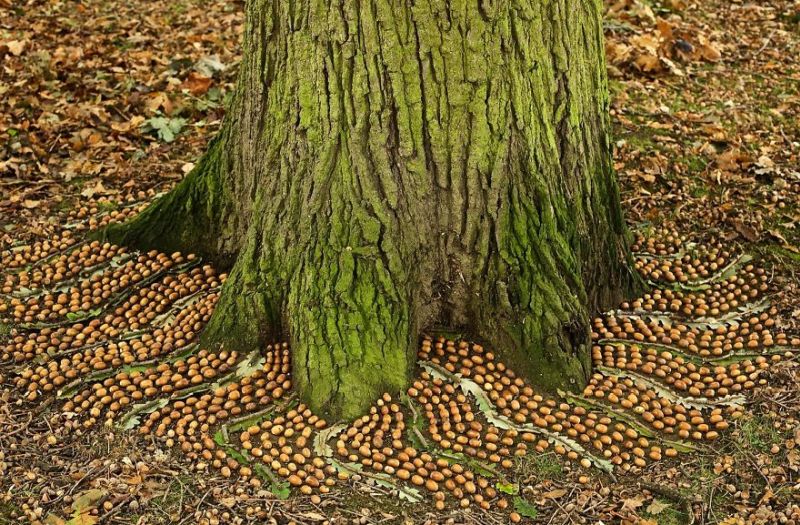 james-brunt-land art using natural materials