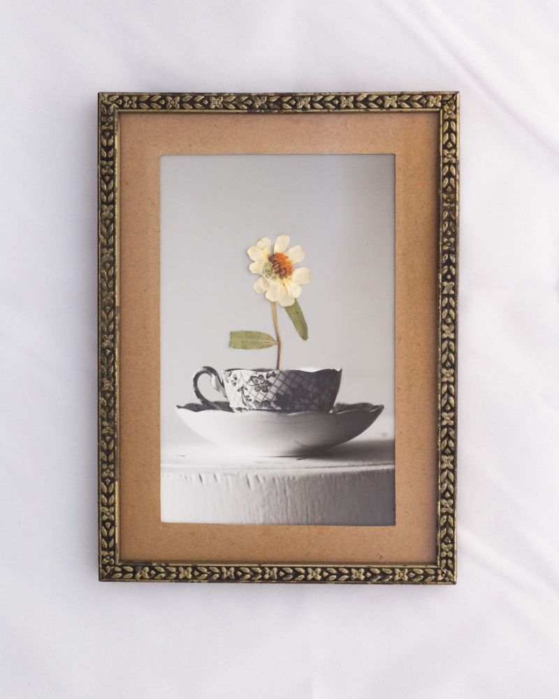 Real Pressed Flower Portraits in Recycled Vintage Frame by Phoebe Hofsteed