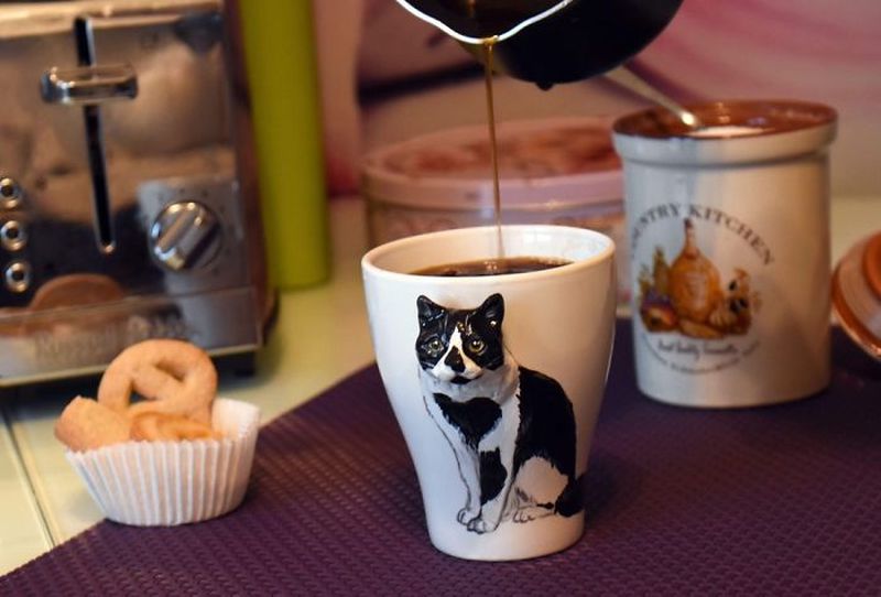 Camelia Rolea Creates Handmade 3D Sculptures of Pets on Mugs