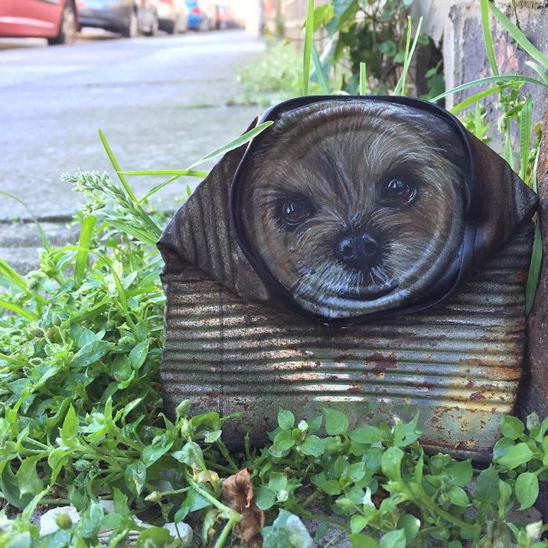 Life-Like Paintings on Found Objects by My Dog Sighs