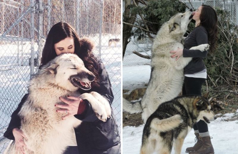 Sarah-Varley-Rape-Survivor-Saved-by-Wolf-Pack-4