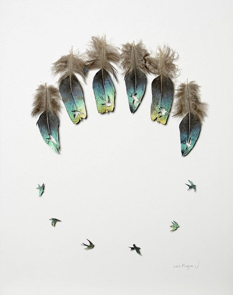 Chris Maynard Feather Art-7