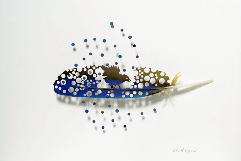 This artist turns moulted bird feathers into intricate artworks