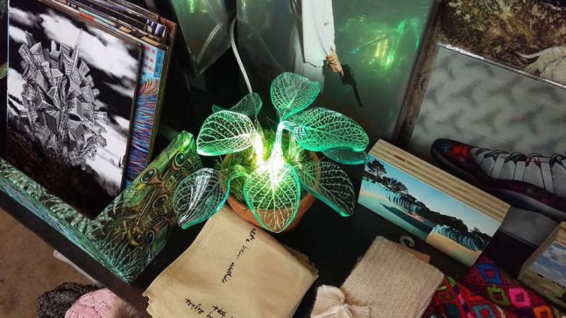 glow-in-the-dark plants-2