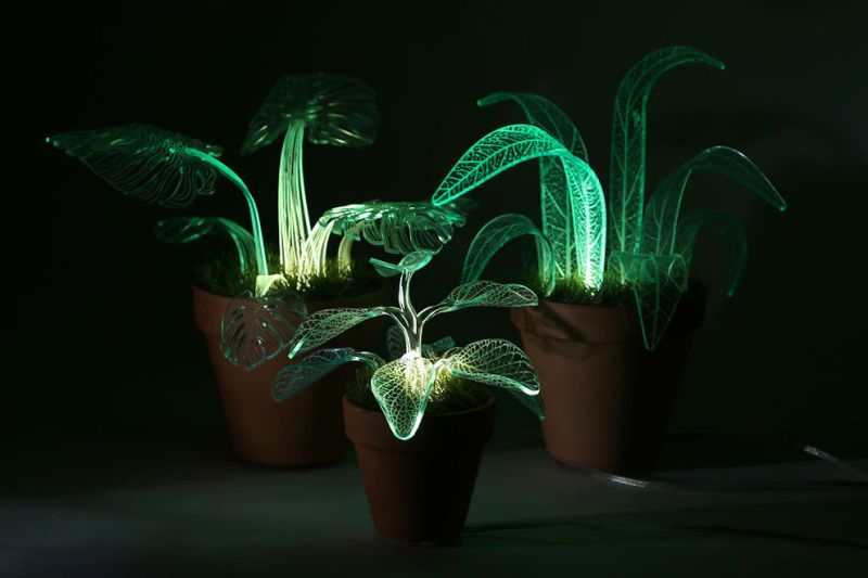 These glow-in-the-dark plants will abandon your love affair with night