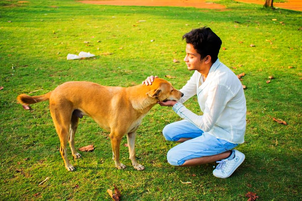 19-year-old guy provides abandoned animals home at ‘A Place to Bark’