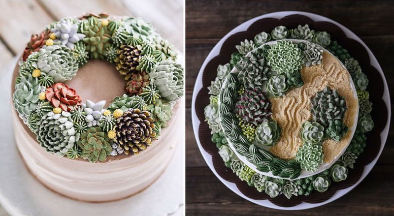 succulent-terrarium-cakes-cupcakes-ivenoven-2