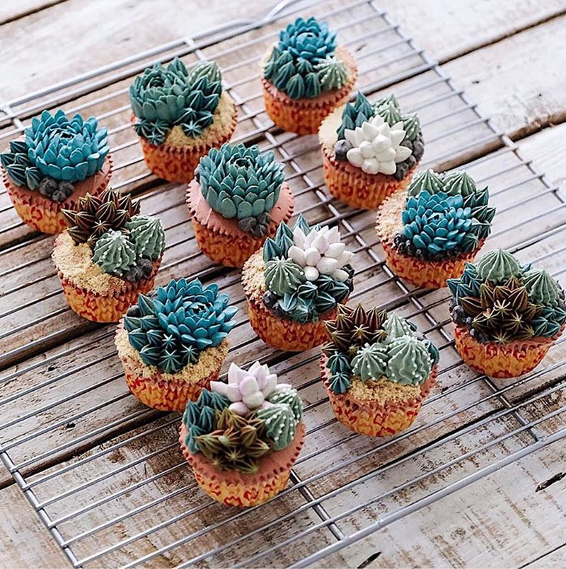 succulent-terrarium-cakes-cupcakes-ivenoven-6