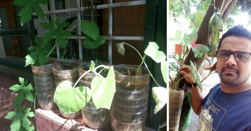 Bengaluru man builds vertical gardens using plastic bottles & coconut shells