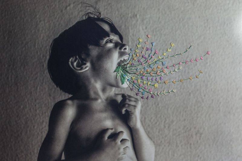 Aline Brant Embroidered Photographs