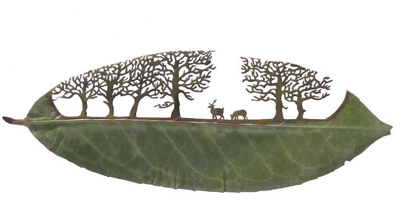 Leaf Art by Lorenzo M. Durán